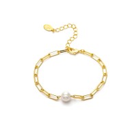 Paper Clip Chain and...